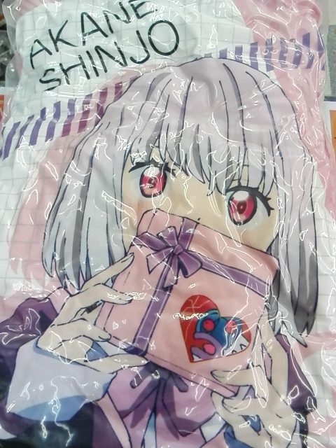 目を覚ませ僕らの睡眠が何者かに侵略されてるゾ～♪新条アカネちゃんのロングクッション買い取りましたー！/【＃メディオ!沖新】