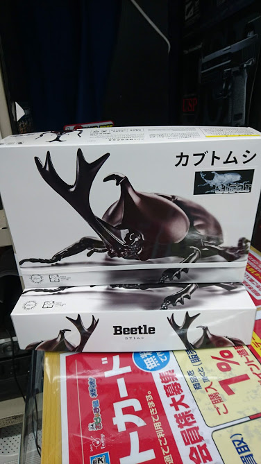 みんな大好きｶﾌﾞﾄﾑｼのﾌﾟﾗﾓ、入荷しました！！